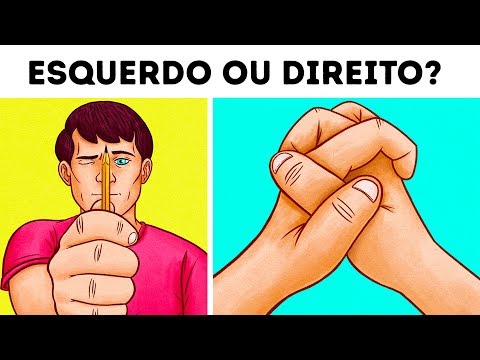 Vídeo: Pense que você quer um cavalo? Faça o nosso teste primeiro!