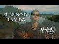 Nicolas Losada - El Reino de la Vida (Videoclip Oficial) Música Medicina