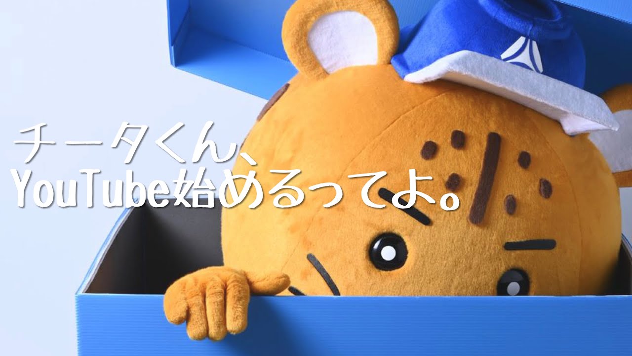 チー君　 ZX12R self-introduction] Kikushin Channel issue Customization and