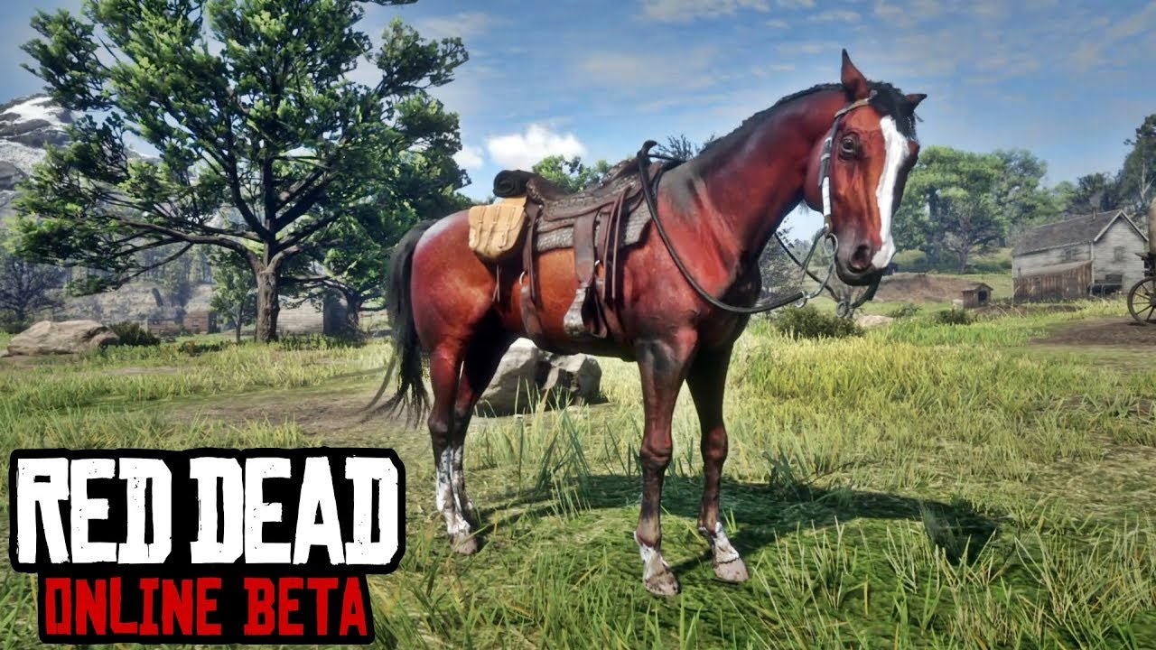 Мустанг рдр. Red Dead Redemption 2 чистокровная Вороная. Арабская Вороная лошадь rdr2. Чистокровная лошадь рдр2. Rdr 2 арабская тигровая.