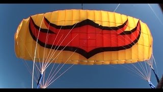Firebird Chilli 100