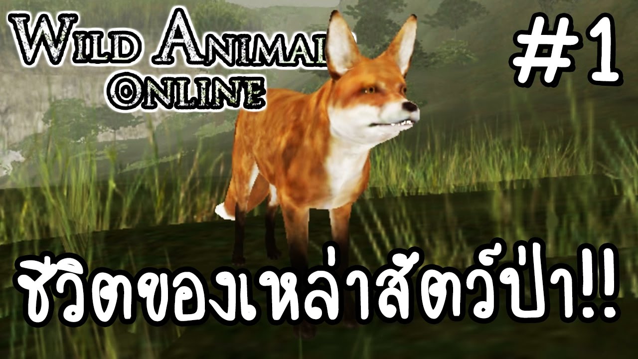 เกม สัต  New Update  Wild Animals Online #1 - ชีวิตของเหล่าสัตว์ป่า!! [ เกมส์มือถือ ]