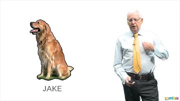 How to create a customer loyalty programme - profitable relationships