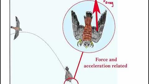 Intro To Kinematics Part1