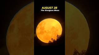 Crazy moon events are coming! 🤯💀#shorts #astronomy #space #moon