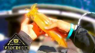 Fried squid rings! Catch cook, Gordon's Bay, South Africa