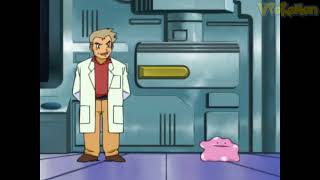 Ditto transformed into professor oak😱