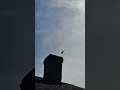 Planes and helicopters 1 #airplanes #airplanewatching #skies #awesome #love #lookup