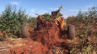 Stump Puller 1720 working in Brazil