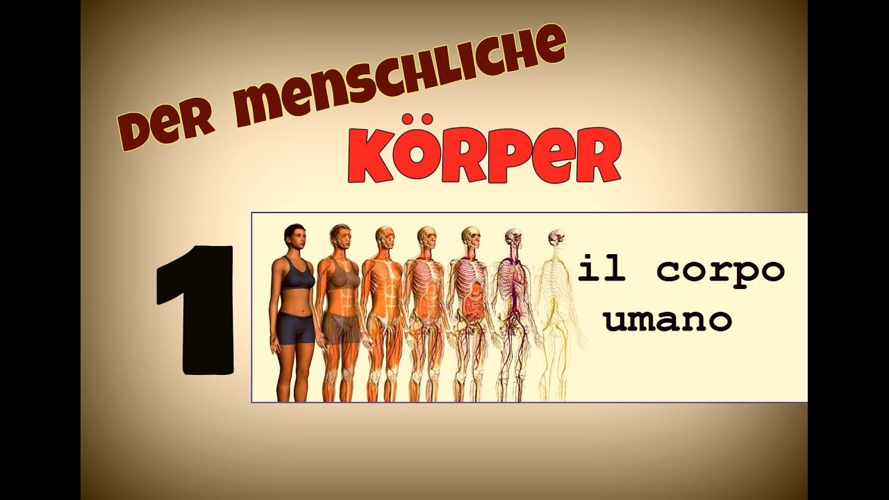 TEDESCO FACILE #27 - SOSTANTIVI: LE PARTI DEL CORPO UMANO