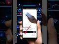 Motorola Secret Feature 🔥 Double Tap Back Screenshot Trick! (Hidden Setting) #motorolatips