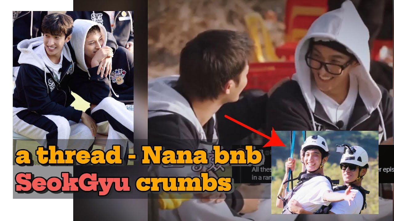 SEVENTEEN Dokyeom & Mingyu (SeokGyu) Nana bnb crumbs | a thread