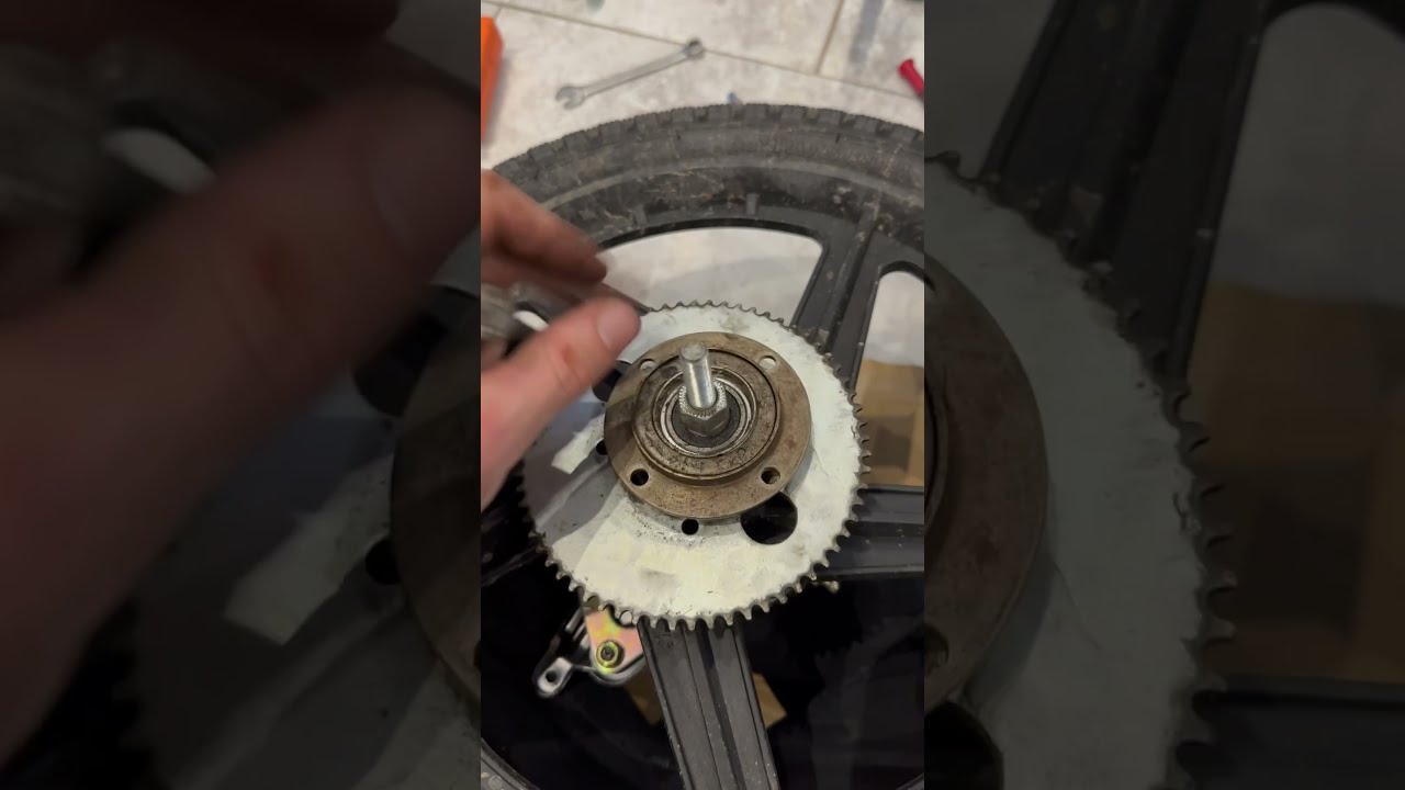 Revvi 16 Sprocket Replacement Freewheel Removal