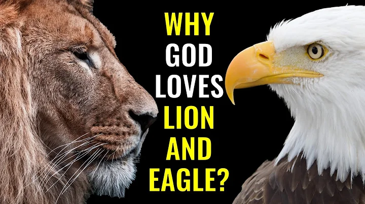 Why God Identifies Himself with Lion and Eagle? | Insider Wisdom - DayDayNews