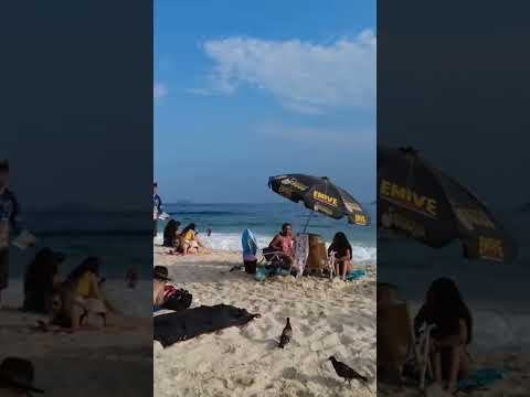 🇧🇷 Pure paradise in Rio! Amazing beach day 🌅🇧🇷#riodejaneiro #brazil #beachvibes #shorts