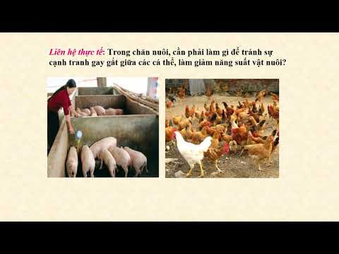 Sinh học lớp 9 - bài 44: ảnh hưởng lẫn nhau giữa các loài sinh vật