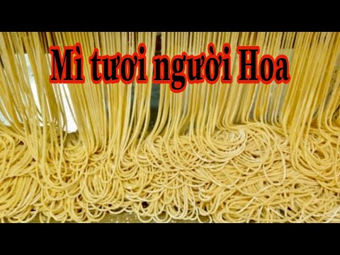 Video Mì tươi người Hoa || Công thức làm mì tươi || Mì trứng - youtube