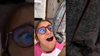 Elif Bu Balık Canlı