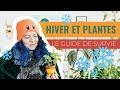 Comment soccuper des plantes dintrieur en hiver  