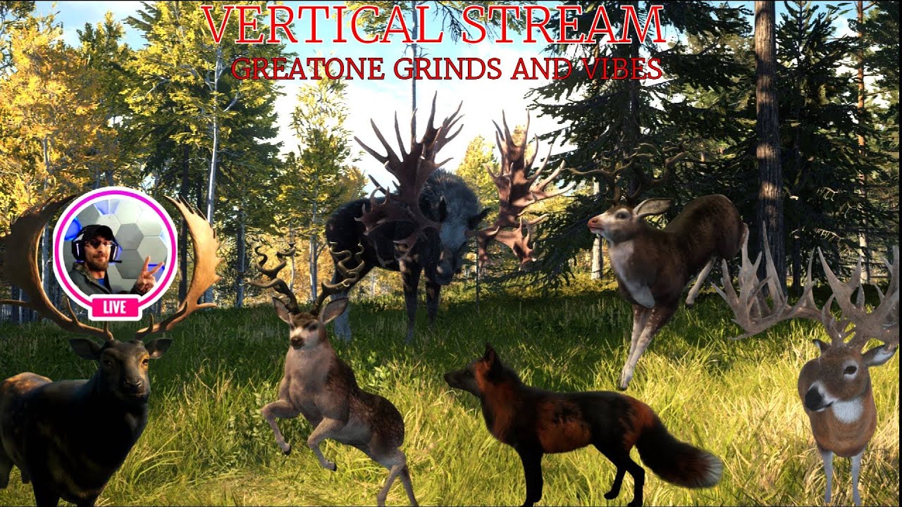 4 out of 11 greatones stacked!