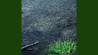 Tranquil Rainfall Reflections