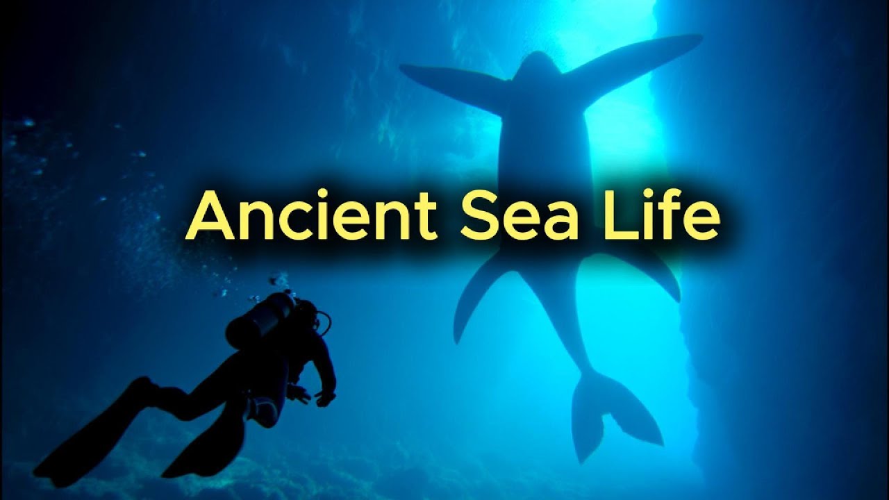 Secrets about ancient sea creatures that might help you sleep better