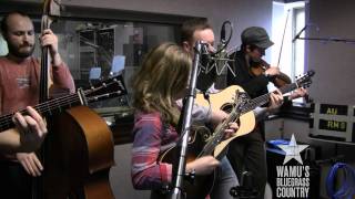 Sierra Hull - Best Buy  [Live at WAMU's Bluegrass Country] chords