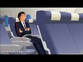 Panic, Anxiety and Fear of Flying