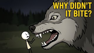 Do Wild Animals Know When a Human Is Trying to Help Them?