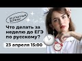 Что делать за неделю до ЕГЭ? | ЕГЭ по русскому языку