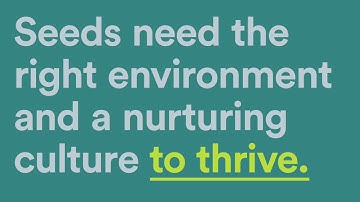 Catalysing Innovation: The QUT Institute for Future Environments