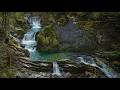 Waterfall Sounds for Sleep 🌿 Relaxing Forest Waterfall Ambience (8 Hours 4K)