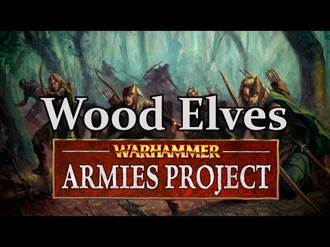 Wood Elves Warhammer Armies Project Book Review & First Impressions