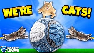 ROCKET LEAGUE, BUT WE'RE ALL CATS