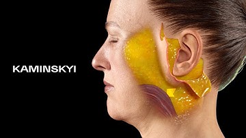 6 types of the Face Lift ⭕️ KAMINSKYI