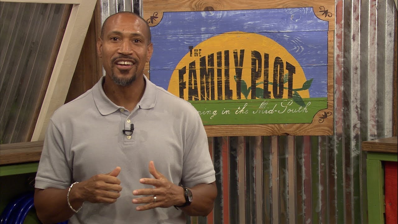 Family Plot Channel Trailer - Family Plot Channel Trailer
