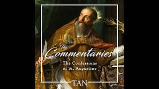 3. The Confessions Of St. Augustine Childhood