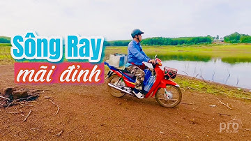 Sông Ray #2: Câu cá lóc mãi đỉnh | River Fishing