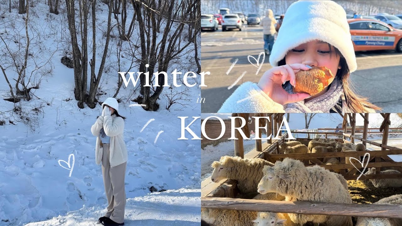 korea diaries ☃️: winter in korea, phoenix snow park, sheep farm, myeongdong kyoja, olive young 🩵