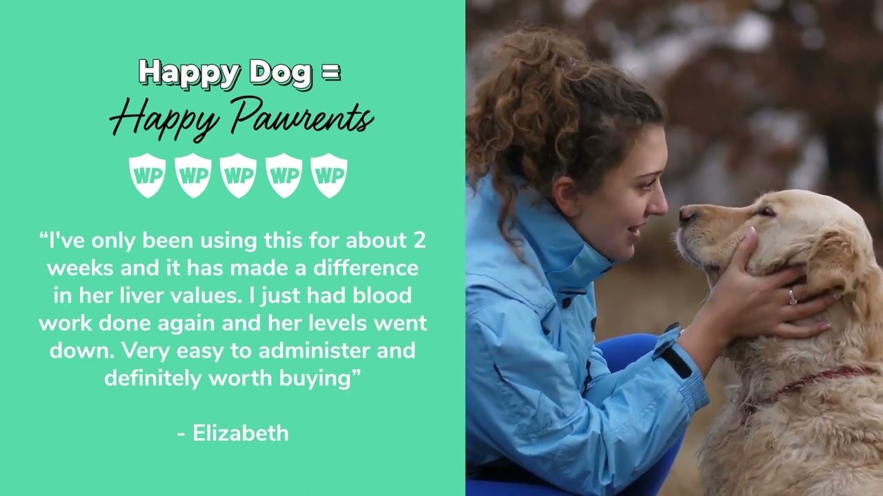 Wonder Paws Milk Thistle For Dogs Liver Support for Dogs YouTube