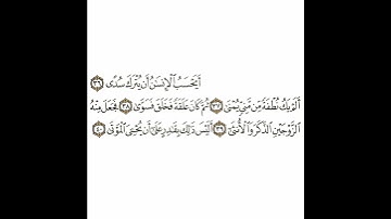 سورة القيامة 4 القسم الرابع تكرار كيفي من .. أيحسب الإنسان أن يترك سدى .. إلى .. يحيي الموتى