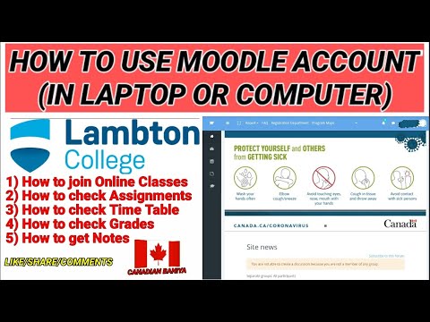 How to use Moodle of Lambton College/How to join online classes in Moodle/Lambton college Moodle