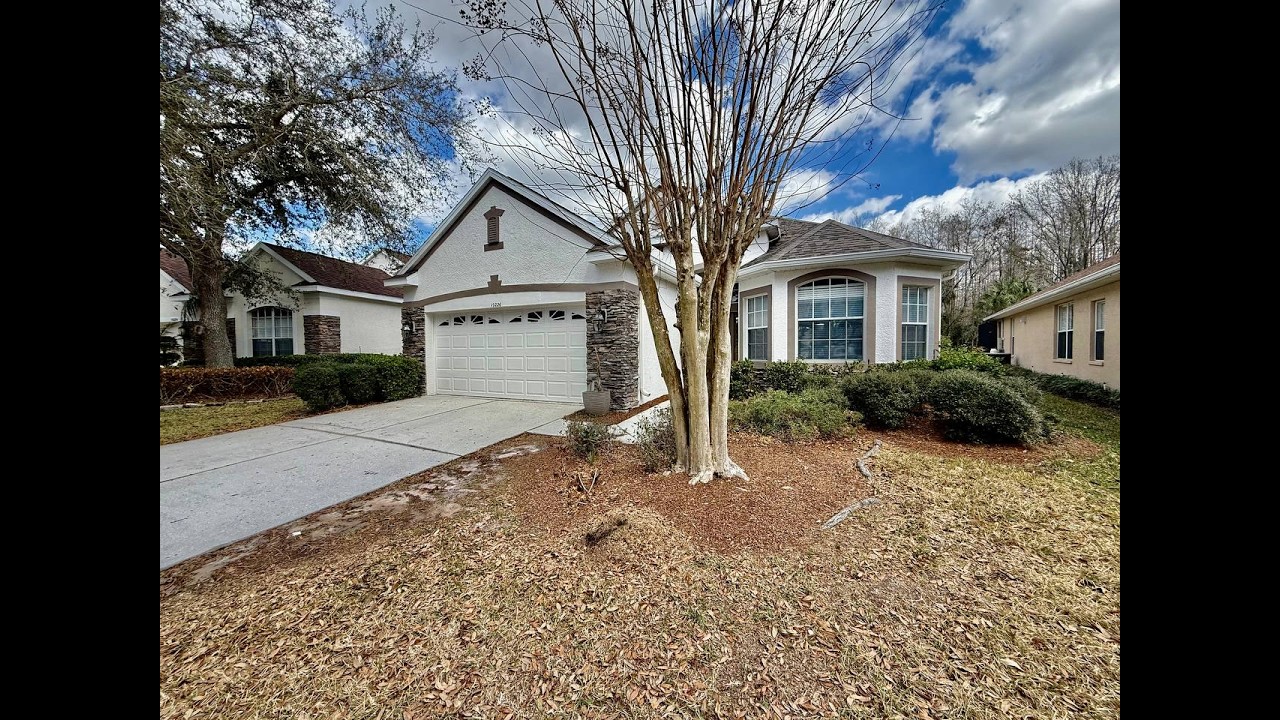 10226 Evergreen Hill Dr Tampa, FL 33647