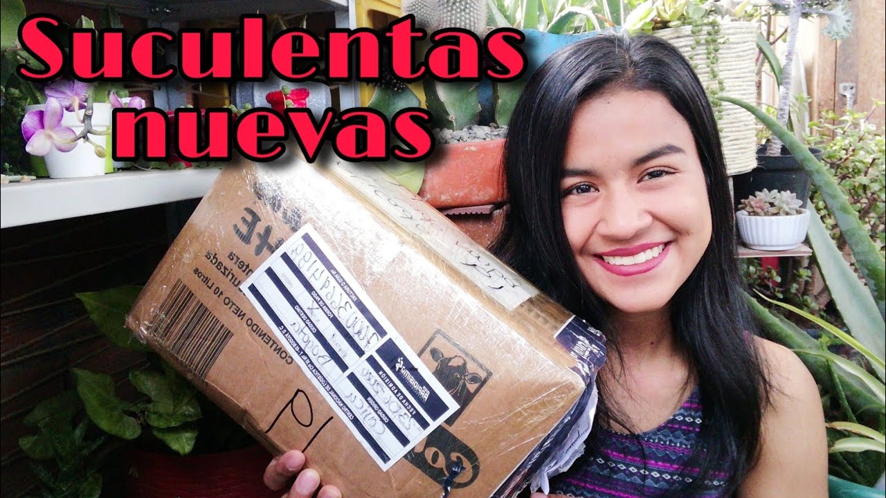 COMPRÉ SUCULENTAS POR FACEBOOK ep. 1 - ¿qué tan seguro es? 🛒👩🏽‍🌾 | Jardines by Angie
