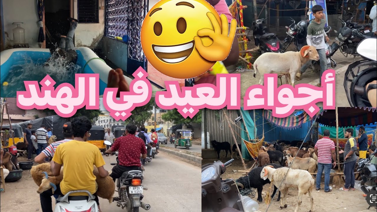 مغربية في الهند:اليوم نايضة في شوارع الهند مع أجواء عيد الكبير