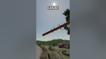 HOW TO EARN $500K FROM ONE TREE