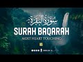 Surah al baqarah    heart touching voice  viral quran  zikrullah tv