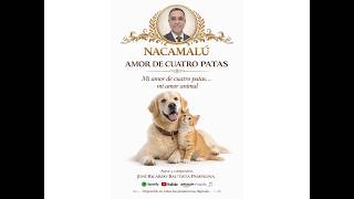 AMOR DE CUATRO PATAS Video Oficial