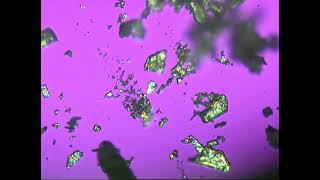 Hot Stage Microscopy