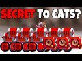 CATS | THE SECRET TO NEVER LOSING | Crash Arena Turbo Stars